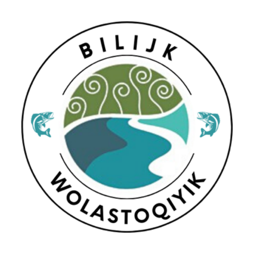 Bilijk Band Logo